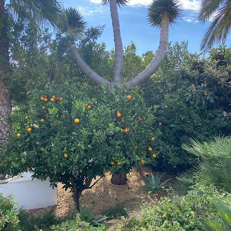 Authentic Hacienda Near The Sea Villa *